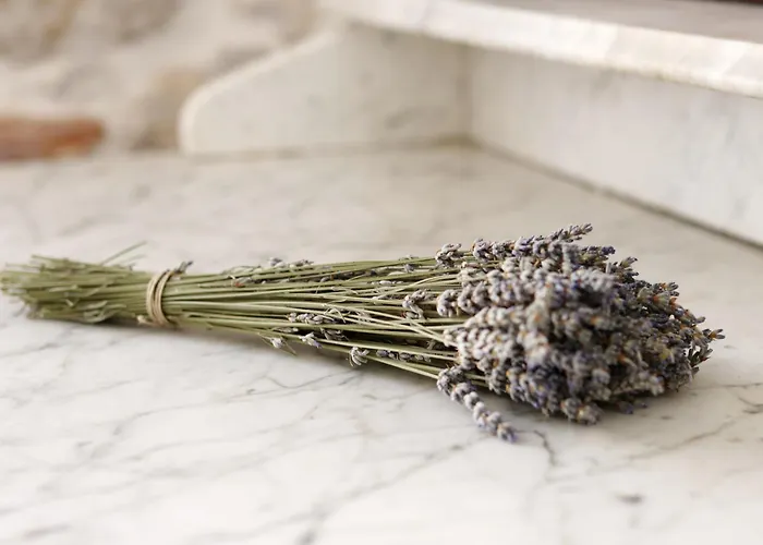 Sidra Heritage Appartement