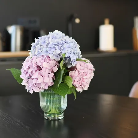 Апартаменти Sidra Heritage *