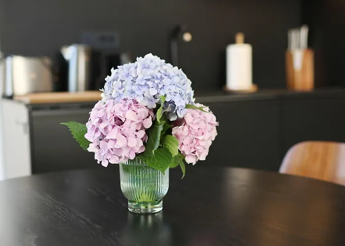 Apartment Sidra Heritage *